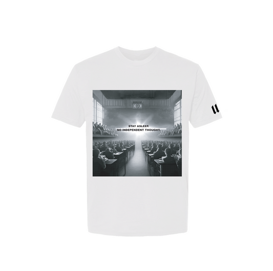 Brick In The Wall - Salt